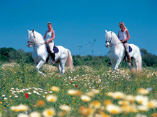 Spain-Mallorca/Menorca-Island Discovery Ride